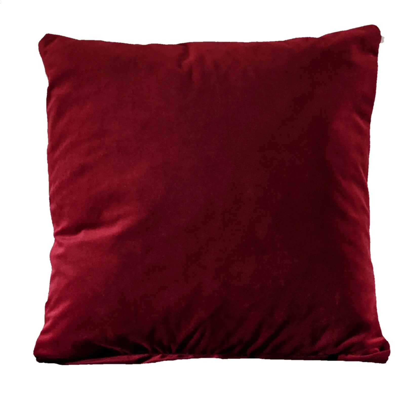 Welsh dragon Flag Cushion