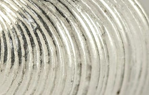 Sterling Silver Cockleshell Earrings