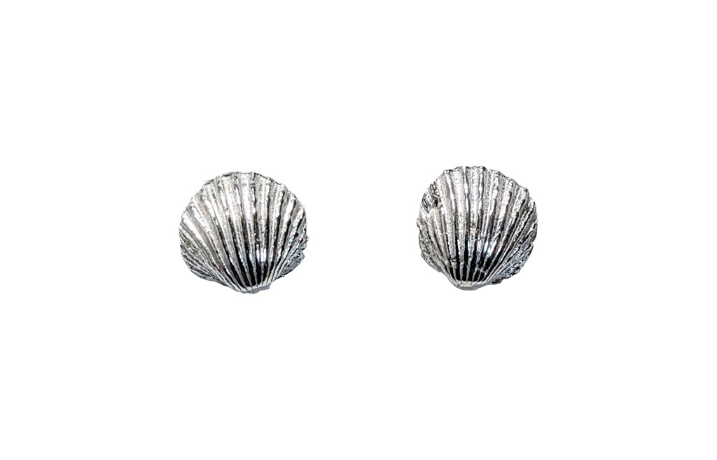 Sterling Silver Cockle Shell studs