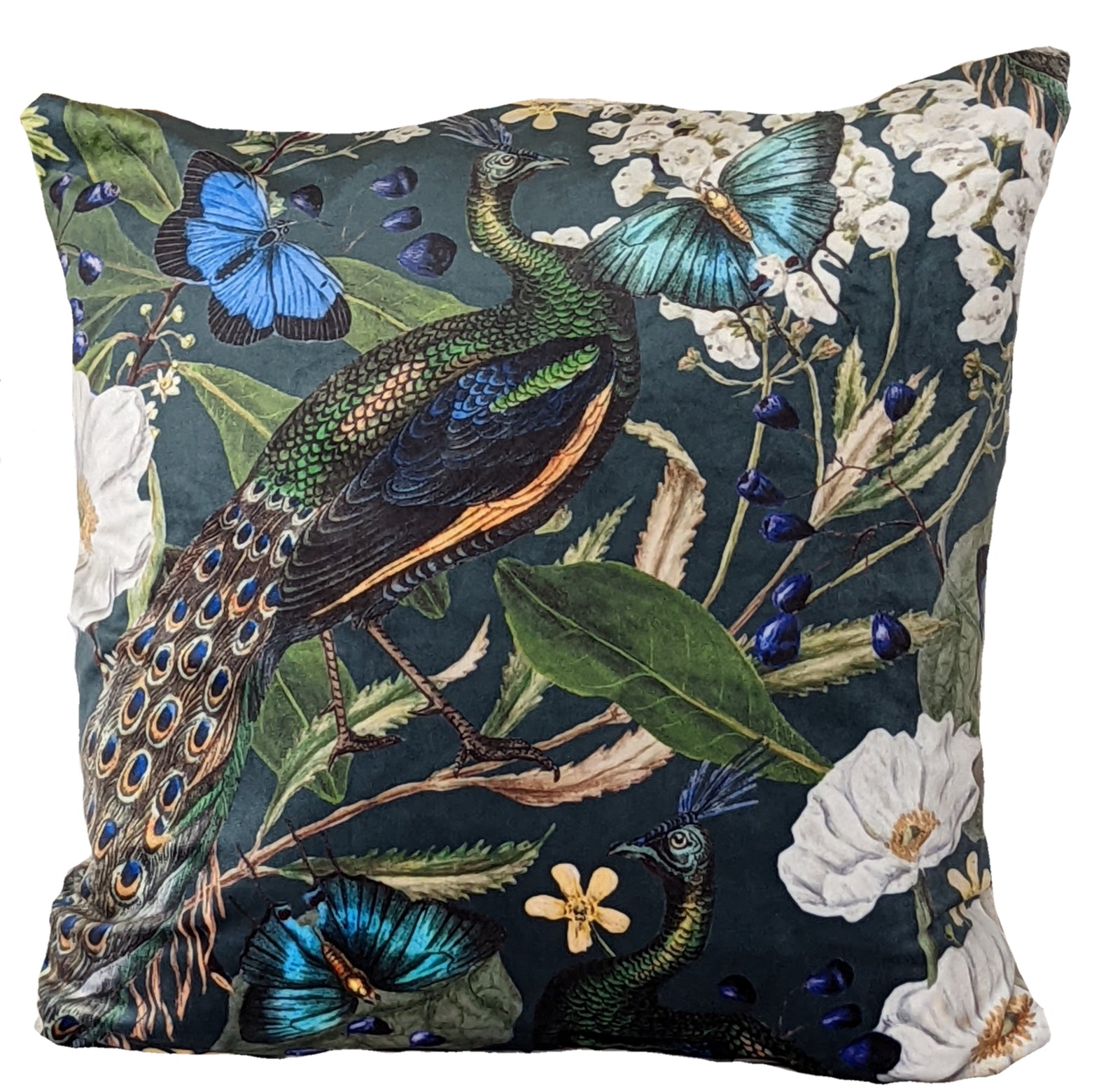 Green velvet peacock and blue butterfly cushion