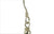 Peacock Pearl Solid Sterling Silver Hook Earrings